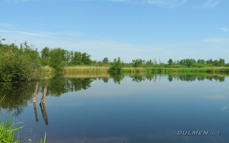 De Wieden (near Steenwijk)